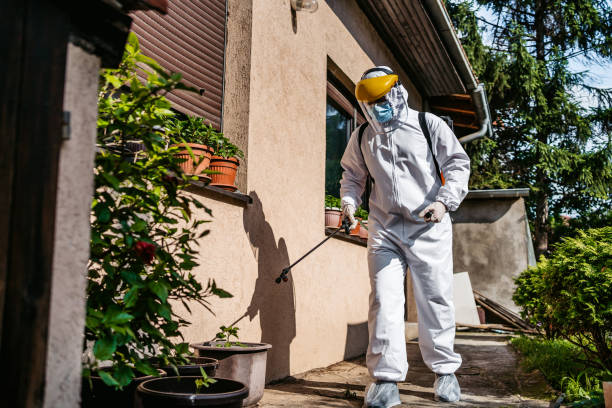 Best Insect Control  in Mcleansboro, IL