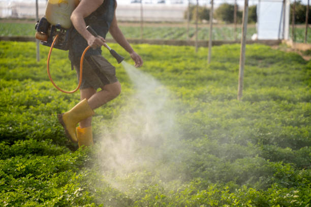 Best Wasp Removal Services  in Mcleansboro, IL